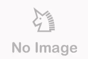 fc2-ppv 4789747 デカ尻事務員ちゃん　ディルド＆イラマ＆立バック | FC2電子市場