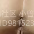 海角社区.调教极品性奴