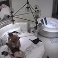 酒店偷拍-长腿黑丝骚货女秘书小穴紧致操起来真爽