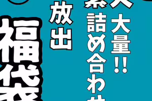 fc2-ppv 4819367 出版截止至12月31日。【年底限定】【含審稿獎金，錄製8小時10分鐘】素人大合集第2部，包含未公開作品！！| FC2電子市場