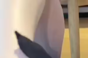 当打飞机意淫的对象我的小姨发现我偷偷用她的内裤奶罩撸鸡巴自慰-探妻