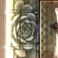 約炮女神 居然被操哭了