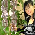 C0930 ki220623 Mr Natsu Who Has A Charming Smile Is A Wife Who Is Erotic And Has A Good Taste