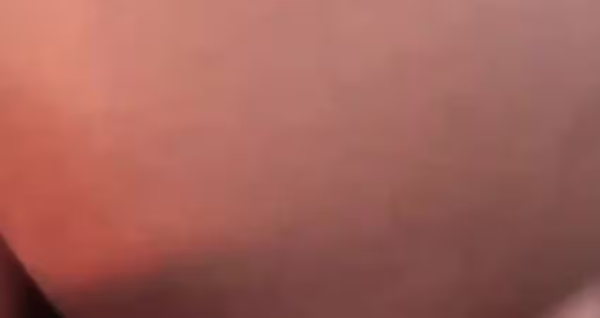 健身伙伴饭后邂逅-提拉米苏