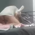海角社区.趁着爸妈都不在家精虫上脑把萝莉妹妹给强奸了